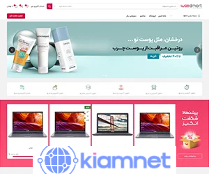 قالب دیمو دیجی